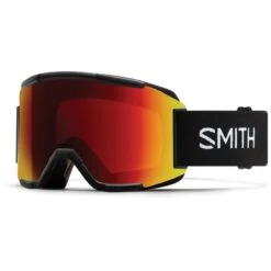 Smith Squad Goggle