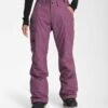 The North Face Women's Freedom Insulated Pant