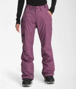 The North Face Women's Freedom Insulated Pant